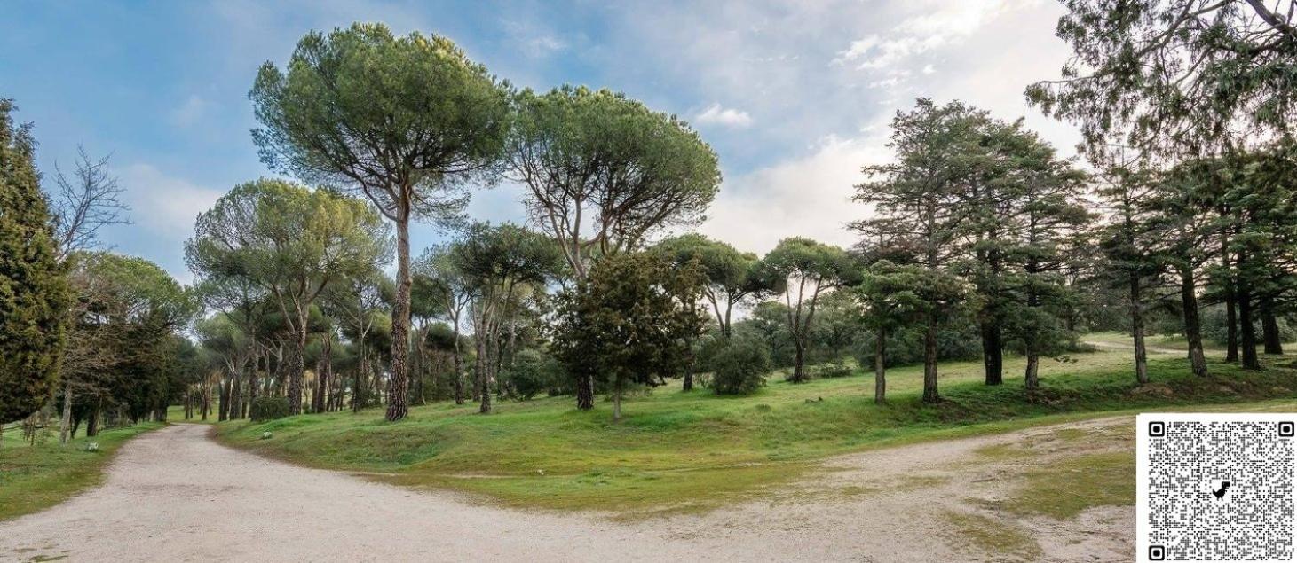 Apartamento Las Rozas Centro Con Parking Incluido Las Rozas de Madrid Exterior foto